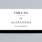 "The Minimalist" - Place Cards in Pearl by Kelly Schmidt - Detail