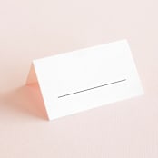 "Slanted" - Place Cards in Noir by Drango Design - Blank front