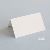 "Eternity" - Place Cards in Sage by Leah Bisch - Folded Back of Card