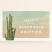 "Postcard from the Desert" - Place Cards in Sunset by Pink House Press - Detail