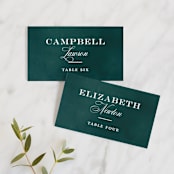 "Succulent Center" - Place Cards in Cactus by Jessica Williams - Front with Free Guest Printing