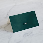 "Succulent Center" - Place Cards in Cactus by Jessica Williams - Blank front