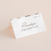 "Sonesta" - Place Cards in Mineral by Hooray Creative - Folded with Free Guest Printing