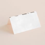 "Sonesta" - Place Cards in Mineral by Hooray Creative - Blank front