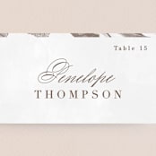 "Sonesta" - Place Cards in Mineral by Hooray Creative - Detail
