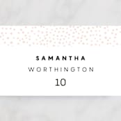 "Textured Dots" - Place Cards in Blush by Emily Sabol Goss - Detail