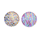 "Safari Dinner Plates - Pack of 8" - Party Plates and Bowls in multicolor by MA FÊTE