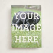 "Portrait" - Personalized Stationery Cards in White by Minted - Front