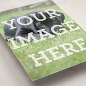 "Portrait" - Personalized Stationery Cards in White by Minted - Detail