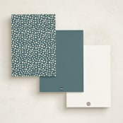"Boldish" - Personalized Stationery Cards in Ocean by Owl and Toad - Back of Card Options