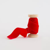 "Red Velvet" - Ribbon in red by Minted - Ribbon