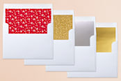 "Sweeping Blessings" - Retired Holiday Cards in Snow by Alethea and Ruth - Slip-In Envelope Liners