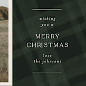"Plaid Tidings" - Retired Holiday Cards in Balsam by Joanna Griffin - Close-Up