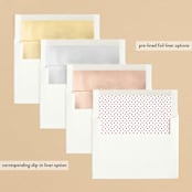 "Delightful Script" - Retired Holiday Cards in Snow by Jessica Williams - Slip-In Envelope Liners