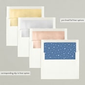 "Festive Christmas Blessings" - Retired Holiday Cards in Frost by Hooray Creative - Slip-In Envelope Liners