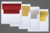 "Tis the season" - Retired Holiday Cards in Snowfall by Jennifer Thomke - Slip-In Envelope Liners