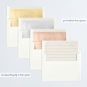 "Celestial" - Retired Holiday Cards in Snow by Lauren Chism - Slip-In Envelope Liners