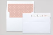 "Stacked" - Birth Announcements in Petal by Snow and Ivy - Liner and Label