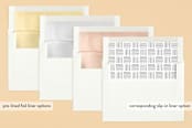 "Baby Stats" - Birth Announcements in Midnight by Christina Novak - Slip-In Envelope Liners