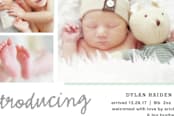 "All The Details" - Birth Announcements in Mint Chocolate Chip by Carolyn MacLaren - Close-Up