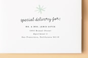 "All The Details" - Birth Announcements in Mint Chocolate Chip by Carolyn MacLaren - FREE Recipient Addressing