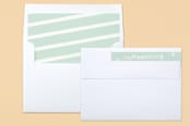 "All The Details" - Birth Announcements in Mint Chocolate Chip by Carolyn MacLaren - Liner and Label