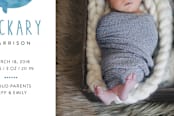 "Whale Hello" - Birth Announcements in Sky by Eric Clegg - Close-Up