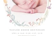 "Woodland Baby" - Birth Announcements in Plum by Ana de Sousa - Close-Up