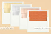"Plus" - Birth Announcements in Tangerine by Olivia Raufman - Slip-In Envelope Liners