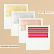 "Exclaim" - Retired Holiday Cards in Pine by Lauren Chism - Envelope Liners