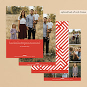 "Merry All Year." - Retired Holiday Cards in Ivory by Pink House Press - Back of Card