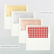 "Outlined" - Retired Holiday Cards in Snow by Brianne Larsen - Envelope Liners