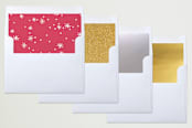 "modern & joy" - Retired Holiday Cards in Berry by Loren Willis - Envelope Liners