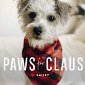 "Paws for Claus" - Retired Holiday Cards in Snow by Lori James - Close-Up