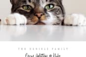 "A Purrfect Christmas" - Retired Holiday Cards in Slate by Stacy Cooke - Close-Up