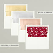 "Never mind" - Retired Holiday Cards in Berry by Hudson meet Rose - Envelope Liners