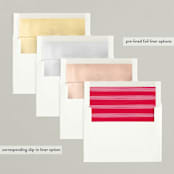 "finding joy" - Retired Holiday Cards in Candy Cane by Creo Study - Envelope Liners