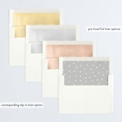 "Witty Holiday Wishes" - Retired Holiday Cards in Frost by Lisa Cersovsky - Envelope Liners