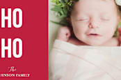 "Purity and simplicity" - Retired Holiday Cards in red by Ariel Troche - Close-Up