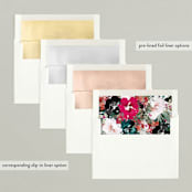 "dreamy palette" - Retired Holiday Cards in Night Sky by Phrosné Barwood - Envelope Liners