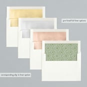 "Diamond Drop" - Retired Holiday Cards in Sage by Pippa Shaw - Envelope Liners