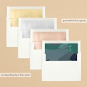 "Color Me Merry" - Retired Holiday Cards in Night Sky by Shari Margolin - Envelope Liners