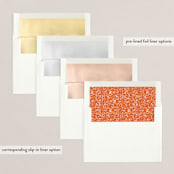 "Punched" - Retired Holiday Cards in Holly by Jack Knoebber - Envelope Liners