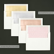 "spacious" - Retired Holiday Cards in Blush by Carrie ONeal - Envelope Liners
