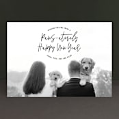 "Paws-atively Happy Howliday" - Retired Holiday Cards in Coal by Hooray Creative - Front