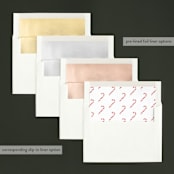 "Just Enough Merry" - Retired Holiday Cards in Candy Cane by Susan Brown - Envelope Liners