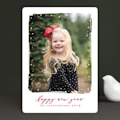 "Simple Snow" - Retired Holiday Cards in Cardinal by Lehan Veenker - Front