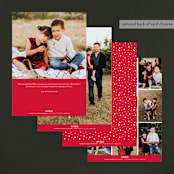 "Simple Snow" - Retired Holiday Cards in Cardinal by Lehan Veenker - Back of Card