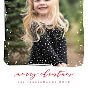 "Simple Snow" - Retired Holiday Cards in Cardinal by Lehan Veenker - Close-Up