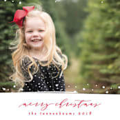 "Simple Snow" - Retired Holiday Cards in Cardinal by Lehan Veenker - Close-Up